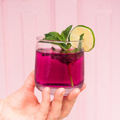 Blueberry Mint Cocktail Infusion Kit