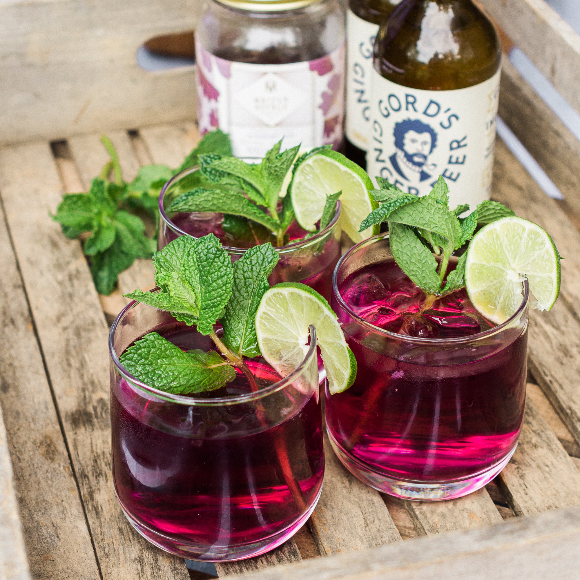 Blueberry Mint Cocktail Infusion Kit